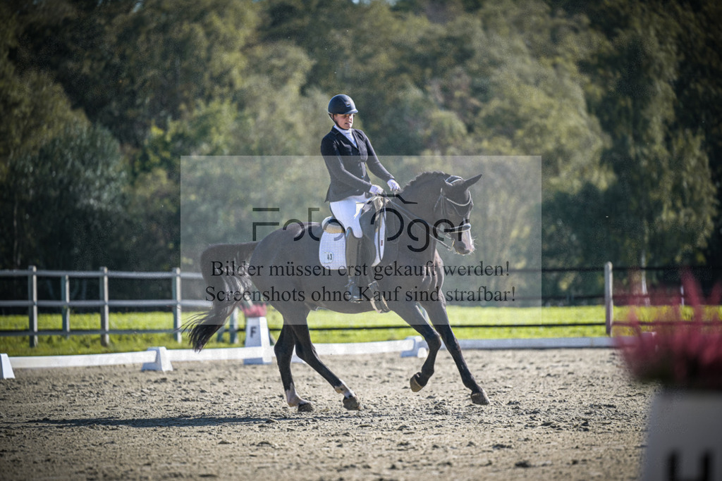 DOS_1938 | Entdecke hochwertige Reitturnierfotos von Foto Oger. Professionell, emotional und authentisch – jetzt Lieblingsmomente im Shop bestellen.Deutschlandweite Turnierfotografie. - Realisiert mit Pictrs.com