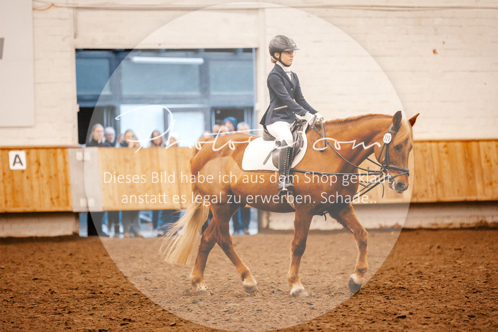 3I6A3590 | Stimmungsvolle Portraits und Reitsportfotografie im Ruhrgebiet und im Münsterland.

Pferdefotografie, Hundefotografie, Tierfotografie, Reportagen, Portraits von Tier und Mensch, Turnierfotografie in Bochum, Recklinghausen, Marl, Haltern am See, Dülmen.. - Realisiert mit Pictrs.com
