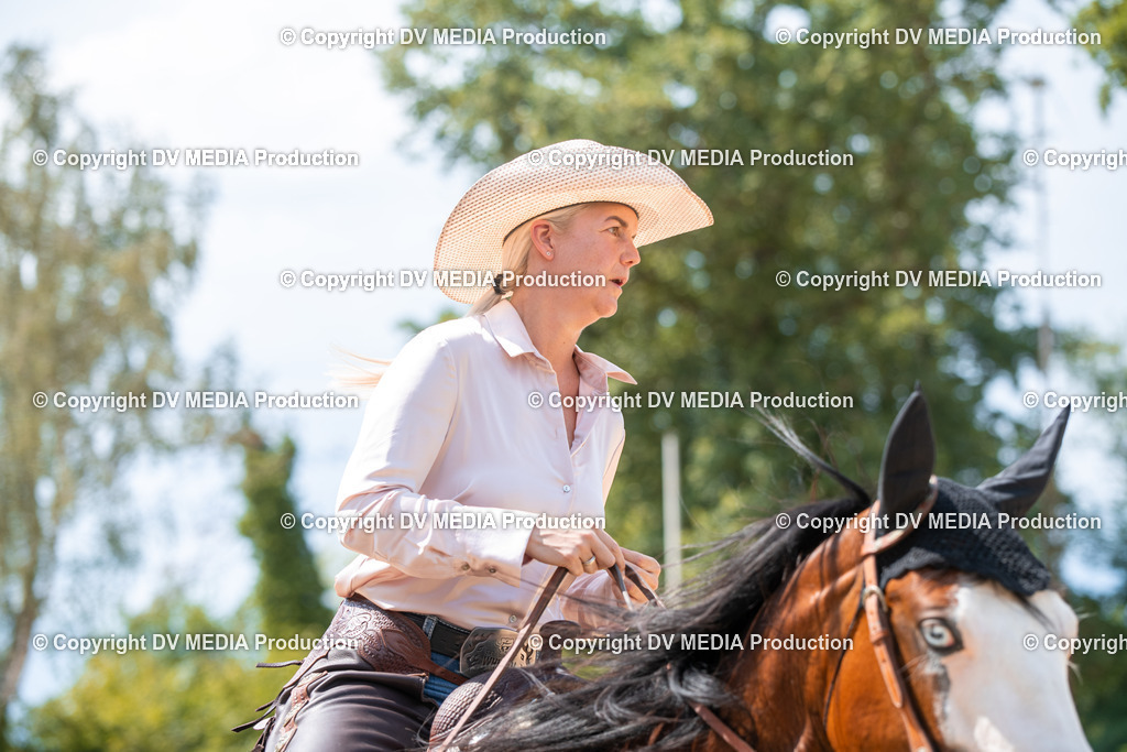 ZS2_8283 | dv-media-shop - Realisiert mit Pictrs.com