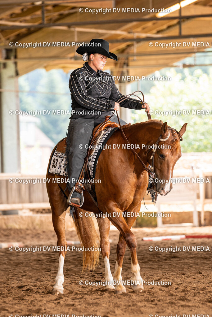 Erbach Tag 1-225 | dv-media-shop - Realisiert mit Pictrs.com