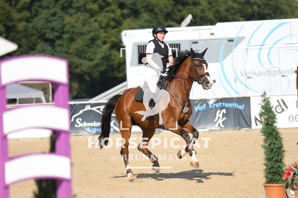 0P6A5106 | Willkommen bei Brunnmayr - Design & Fotografie – Ihrem Spezialisten für Reitturniere und Pferdeveranstaltungen in Oberösterreich, Salzburg und Bayern! Seit über 17 Jahren sind wir leidenschaftlich dabei.