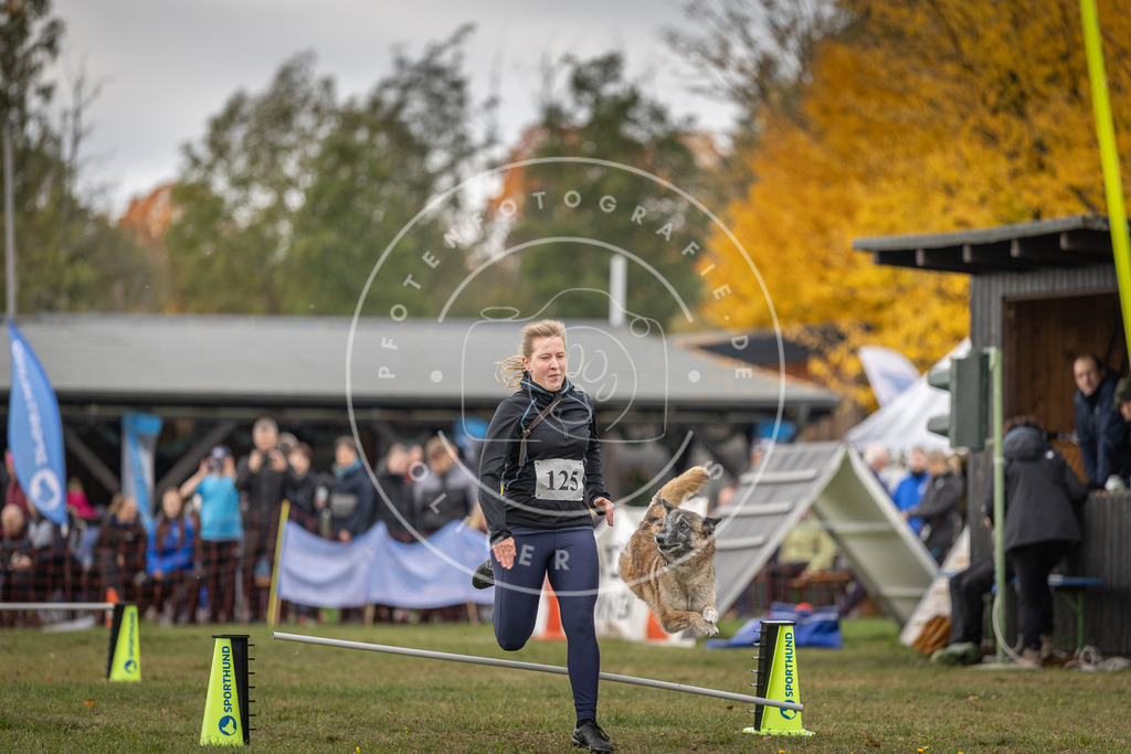Pfotenfotografie_DV3A6652 | Hundefotografie, Tierfotograf, Pfotenfotografie, Fotoshooting Hund, Hunde Portrait, Hundesport, Hundeportraits, Heideshooting, Hunde, Sportfotograf, Hundefotograf, Turnierhundsport, THS,  - Realisiert mit Pictrs.com