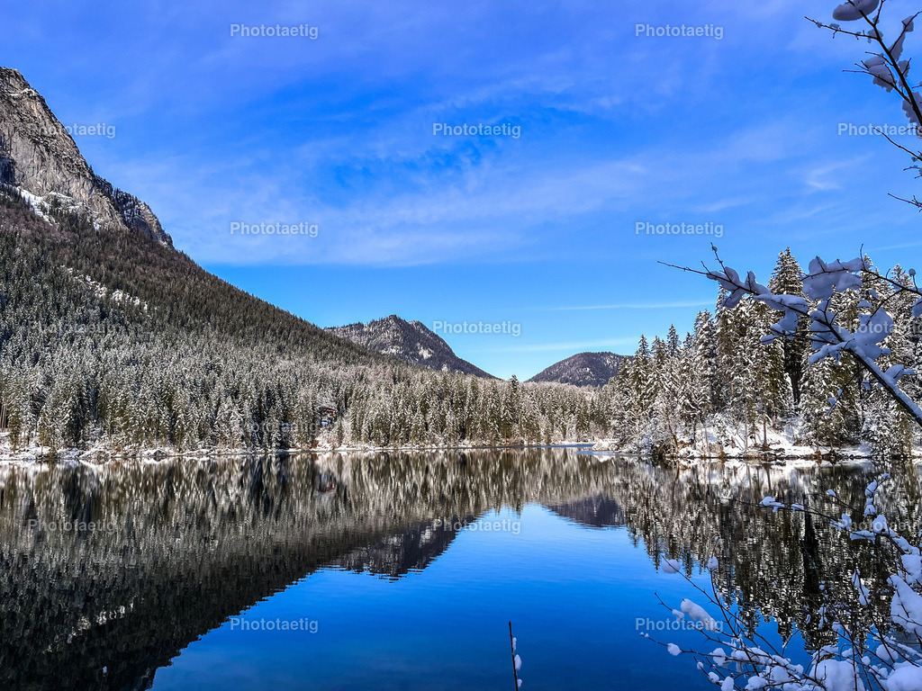 IMG_6375 | phototaetig