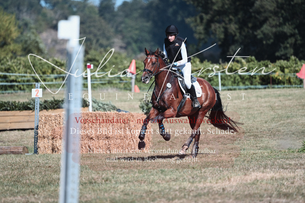DSC_8730 | Pferde- und Turnierfotografie in Westsachsen. Pferdeportraits, Auftragszeichnungen und intuitive Kunst.