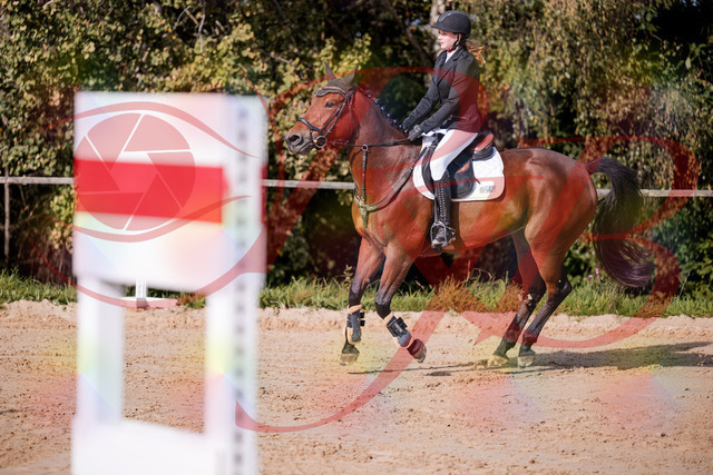 2026_10_03_Siefer-Hof_143529_Z81_04082485 | Professionelle Reitsport-, Turnier- und Eventfotografie von Robert Broda. Galerien mit ausgewählten und bearbeiteten Bildern direkt online ansehen und bestellen.
