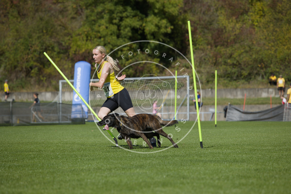 0L8A5783 | Hundefotografie, Tierfotograf, Pfotenfotografie, Fotoshooting Hund, Hunde Portrait, Hundesport, Hundeportraits, Heideshooting, Hunde, Sportfotograf, Hundefotograf, Turnierhundsport, THS,  - Realisiert mit Pictrs.com