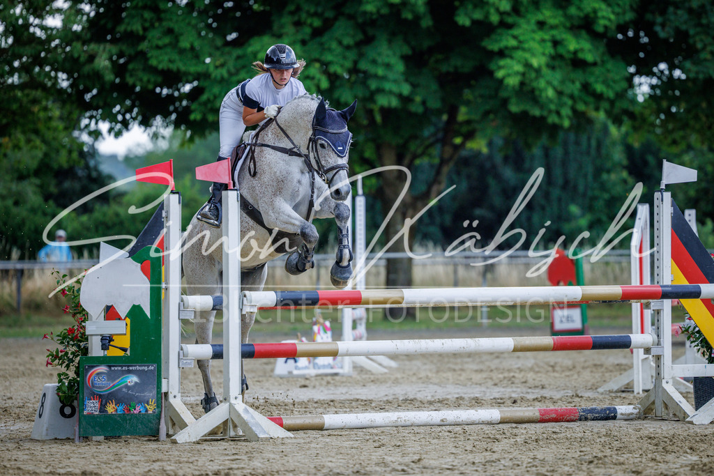 20260705-_3LI4500 | Tierfotografie Pferde, Hunde, Katzen, Haustiere.
Turnierfotografie Reitturniere, Reiten, Springreiten, Dressur in Hanau, dem Main-Kinzig-Kreis und dem Rhein-Main- Gebiet um Frankfurt