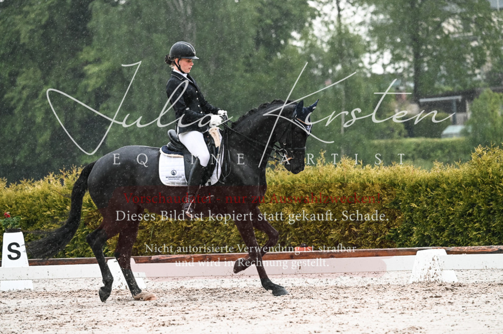 DSC_4729 | Pferde- und Turnierfotografie in Westsachsen. Pferdeportraits, Auftragszeichnungen und intuitive Kunst.