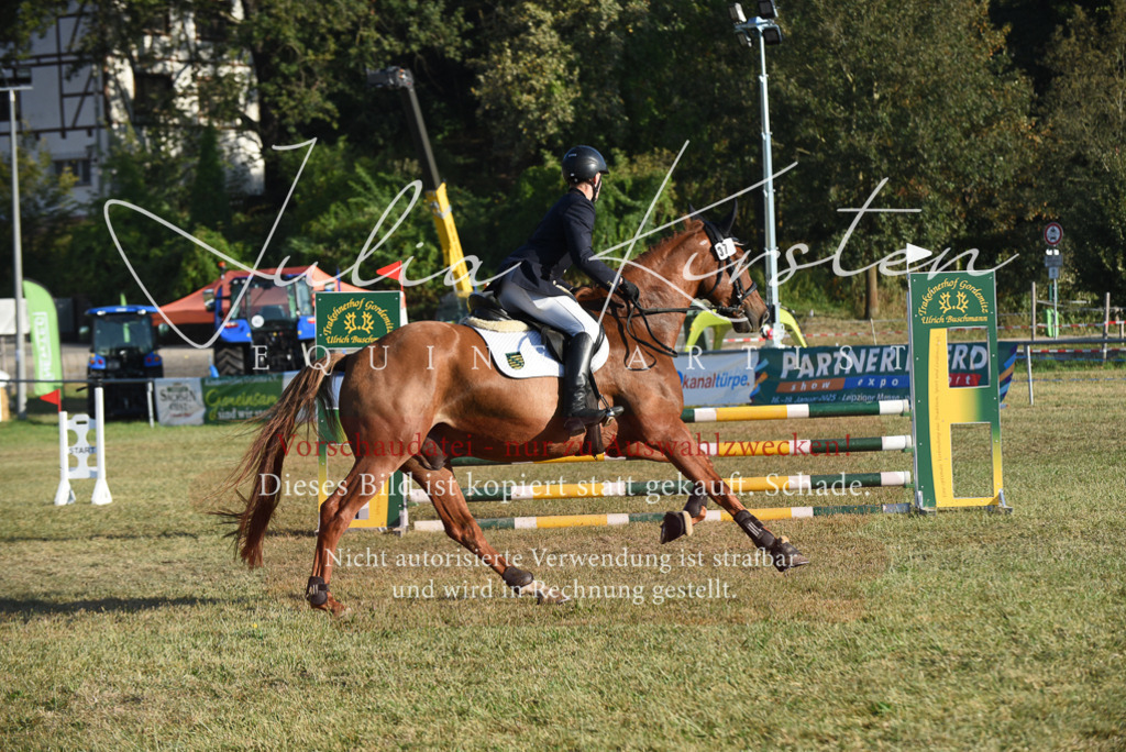DSC_4963 | Pferde- und Turnierfotografie in Westsachsen. Pferdeportraits, Auftragszeichnungen und intuitive Kunst.