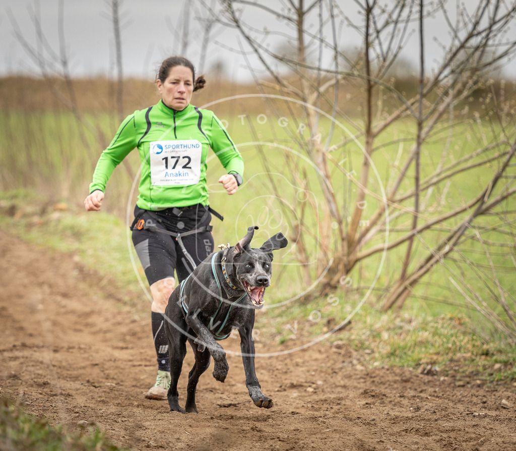 DV3A1967 | Hundefotografie, Tierfotograf, Pfotenfotografie, Fotoshooting Hund, Hunde Portrait, Hundesport, Hundeportraits, Heideshooting, Hunde, Sportfotograf, Hundefotograf, Turnierhundsport, THS,  - Realisiert mit Pictrs.com