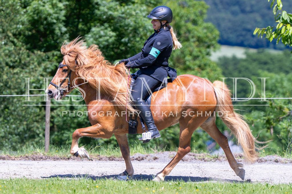 KAI08446 | Ihr sucht einen Fotografen für eure nächste OSI? Ich begleite auch euer Turnier für Islandpferde fotografisch.  - Realisiert mit Pictrs.com