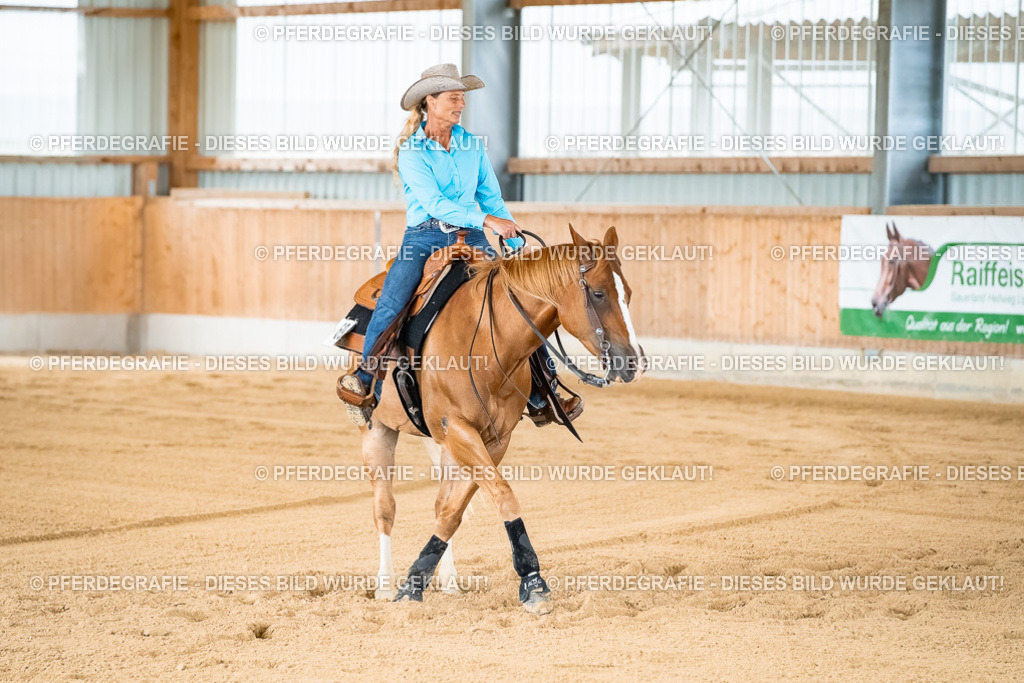 DSC02125 | Pferdegrafie