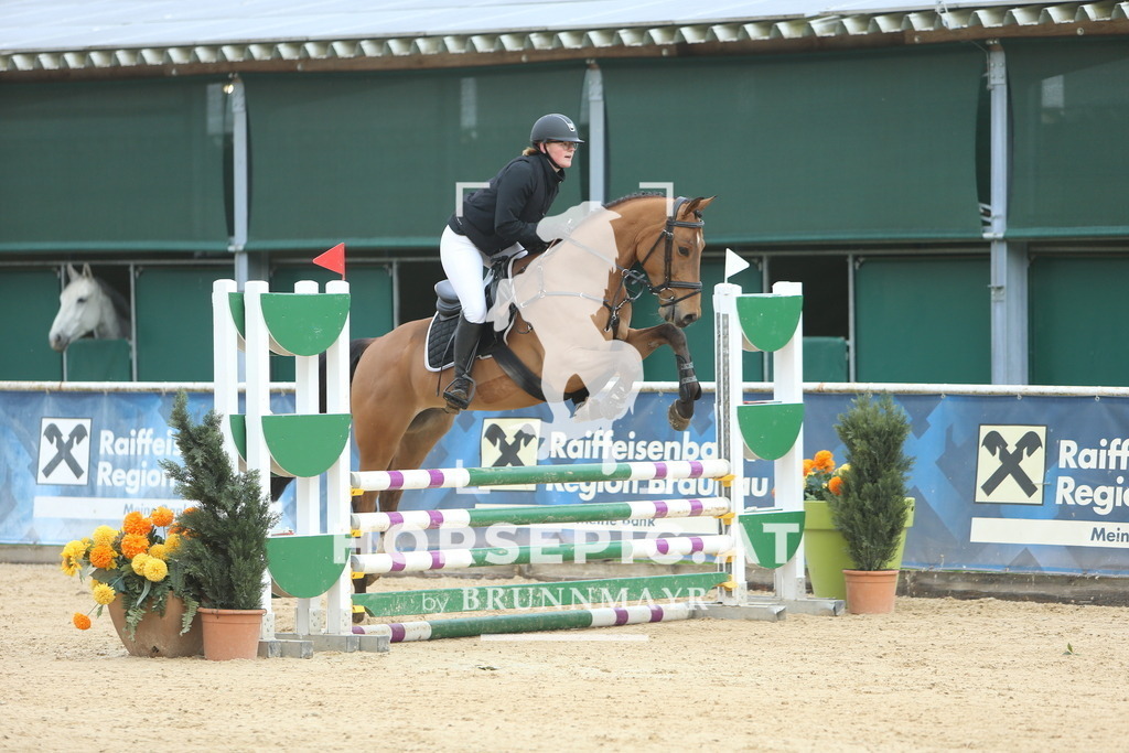 DL2Q8814 | Willkommen bei Brunnmayr - Design & Fotografie – Ihrem Spezialisten für Reitturniere und Pferdeveranstaltungen in Oberösterreich, Salzburg und Bayern! Seit über 17 Jahren sind wir leidenschaftlich dabei.