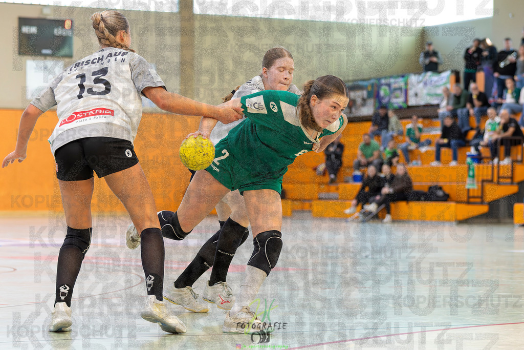 Jugendbundesliga wJA, Pokalrunde, HSG Kleenheim/Langgöns - Frisch Auf Göppingen | Jugendbundesliga wJA, Pokalrunde, HSG Kleenheim/Langgöns - Frisch Auf Göppingen am 28.02.2026 in Oberkleen (Weidig-Halle)Photo © 2026 - Jörg Heinrich - Realisiert mit Pictrs.com