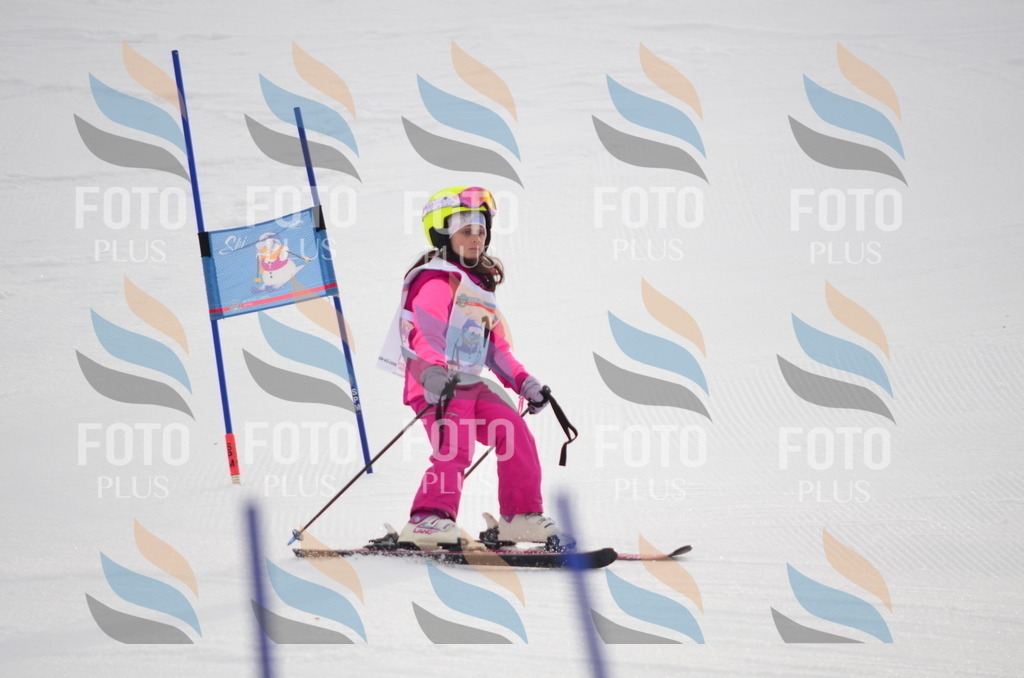 C0026 | holidayphoto