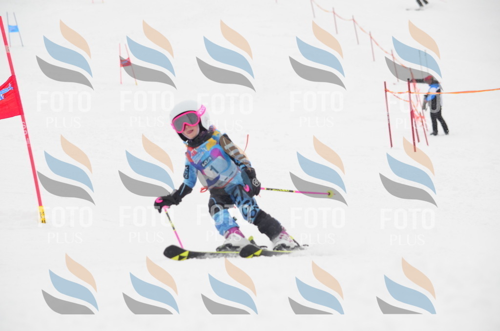 C0515 | holidayphoto