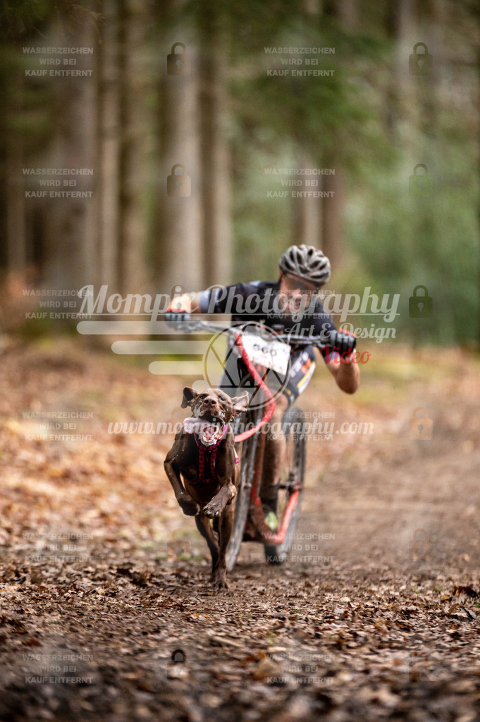 SPA_2023_DIM_Scooter-25 | PayLife