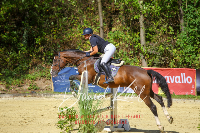 DKP43338 | Turniersportfotografie; Pferdefotografie; Dressurfotografie