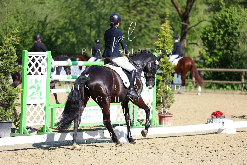 IMGT0428 | pl-fotografie