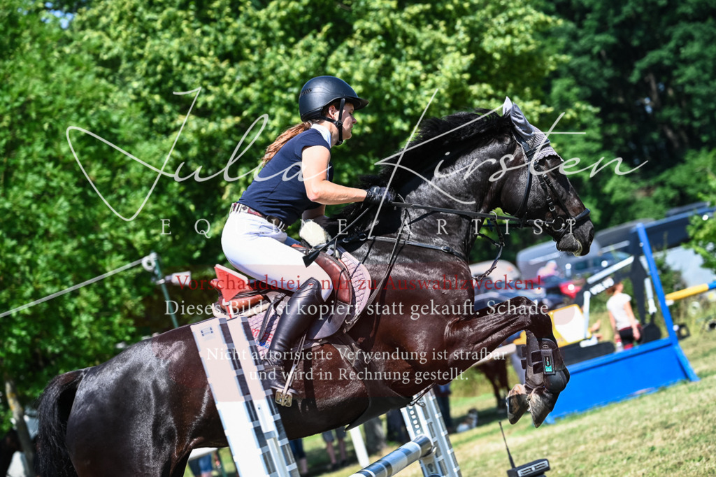 DSC_1040 | Pferde- und Turnierfotografie in Westsachsen. Pferdeportraits, Auftragszeichnungen und intuitive Kunst.