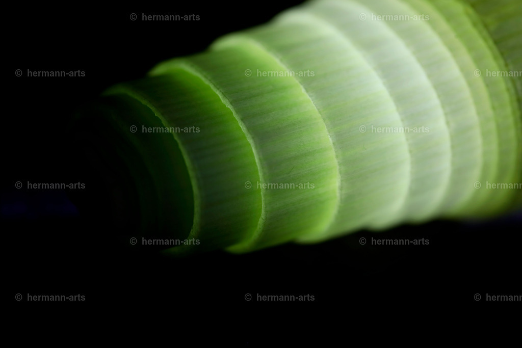 Fruits-Art-021 | Photo Foto Kunst Art schwarzweiss Bilder Rheine Münster Berlin Blumen 