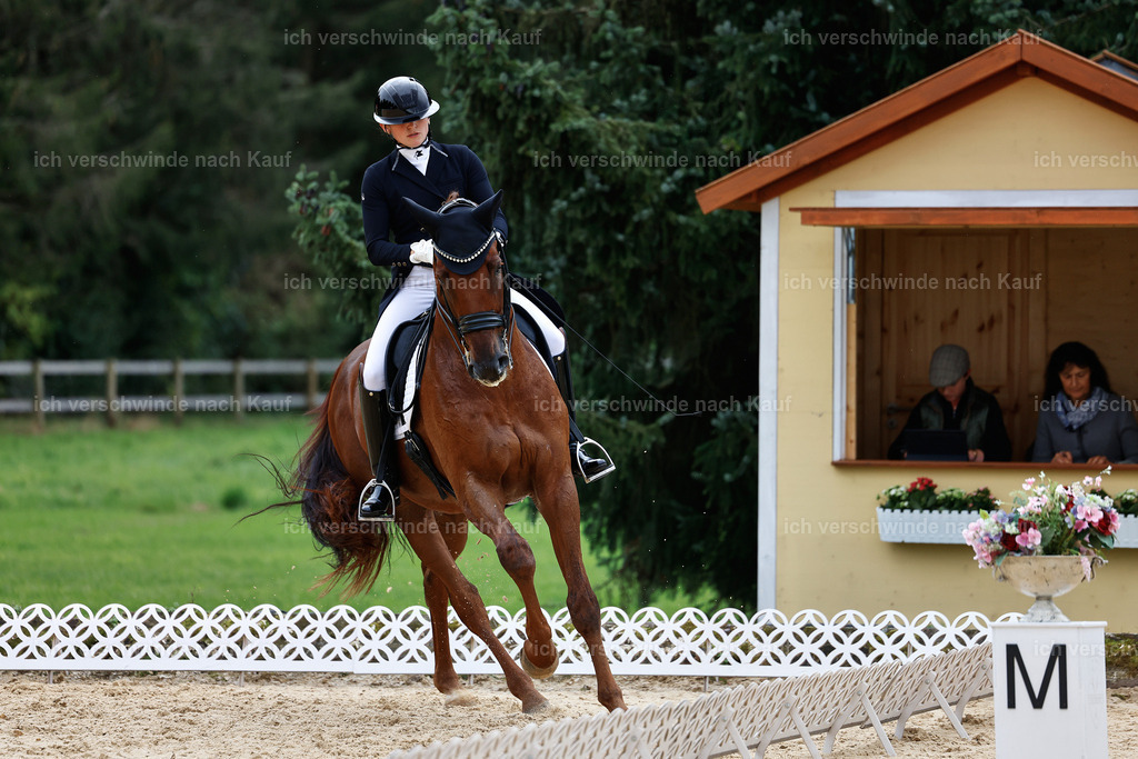 11-141-Dressur S___-StoibPH-867 | working equitationturnier fotograf videograf stoibphotography marixx film working equitation deutschland reitsport turnierfotografie eventfotografie equestrian events