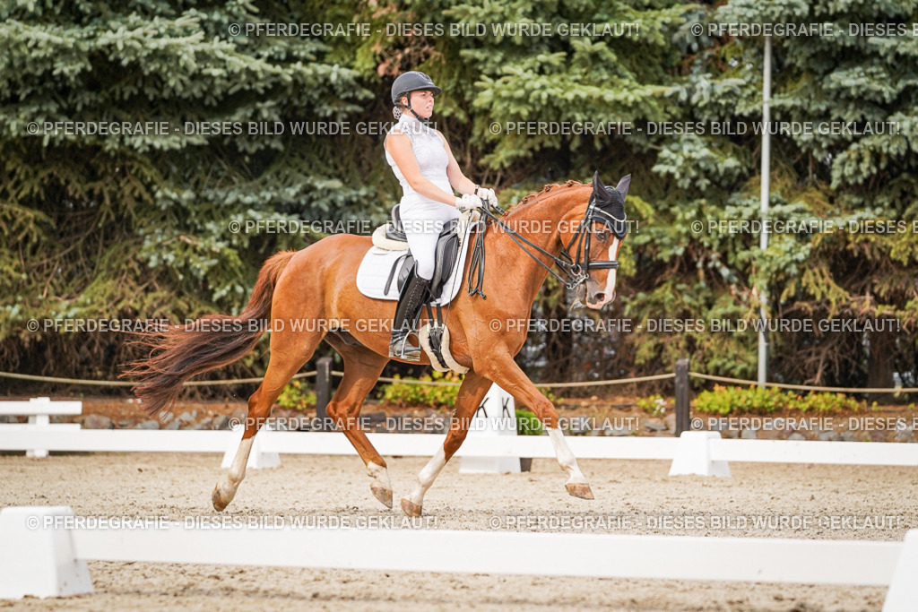 DSC07360 | Pferdegrafie