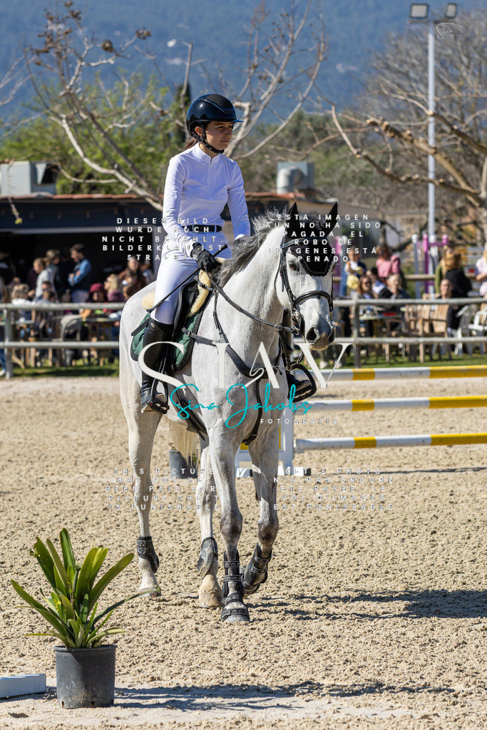 IMG_9806 | s-jay-photography - Realisiert mit Pictrs.com