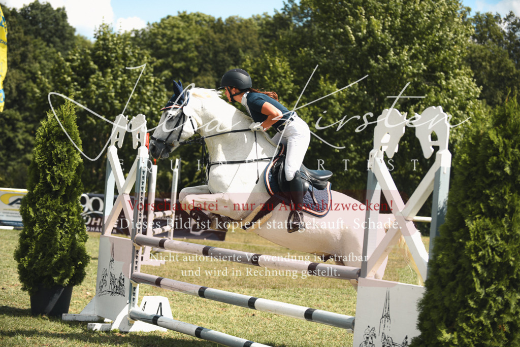 DSC_6743 | Pferde- und Turnierfotografie in Westsachsen. Pferdeportraits, Auftragszeichnungen und intuitive Kunst.