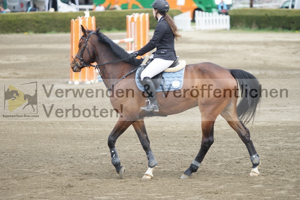 DSC04369 | equestrian-live-com