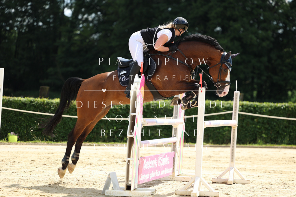 IMGM2635 | pl-fotografie