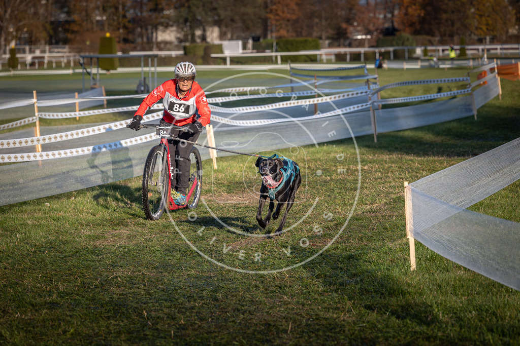 CaniXpix_0L8A3790 | Hundefotografie, Tierfotograf, Pfotenfotografie, Fotoshooting Hund, Hunde Portrait, Hundesport, Hundeportraits, Heideshooting, Hunde, Sportfotograf, Hundefotograf, Turnierhundsport, THS,  - Realisiert mit Pictrs.com