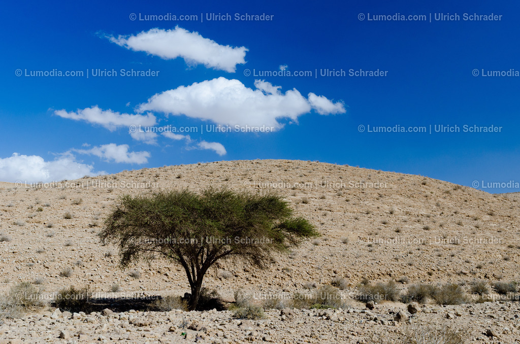 10972-10325 - Negev-Wüste _ Israel | max. Bildgröße A3 | 300dpi - Realisiert mit Pictrs.com