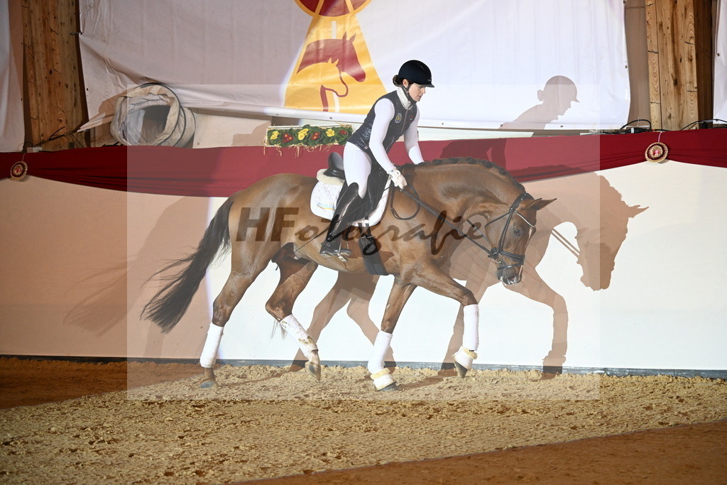 Viva Diamond_2241585 | hf-fotografie - Realisiert mit Pictrs.com