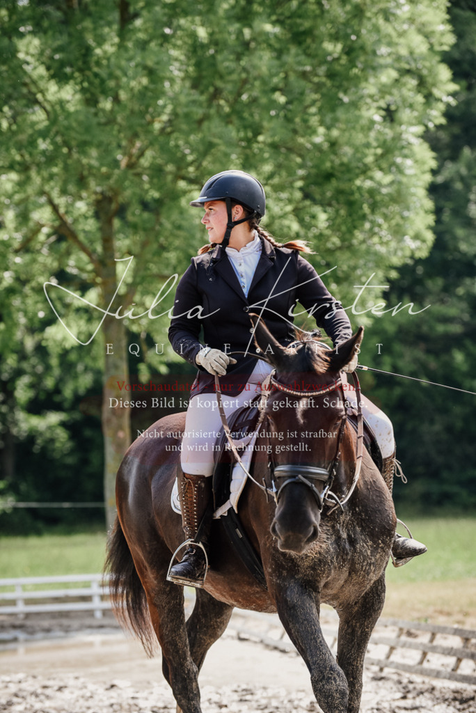 DSC_0257 | Pferde- und Turnierfotografie in Westsachsen. Pferdeportraits, Auftragszeichnungen und intuitive Kunst.