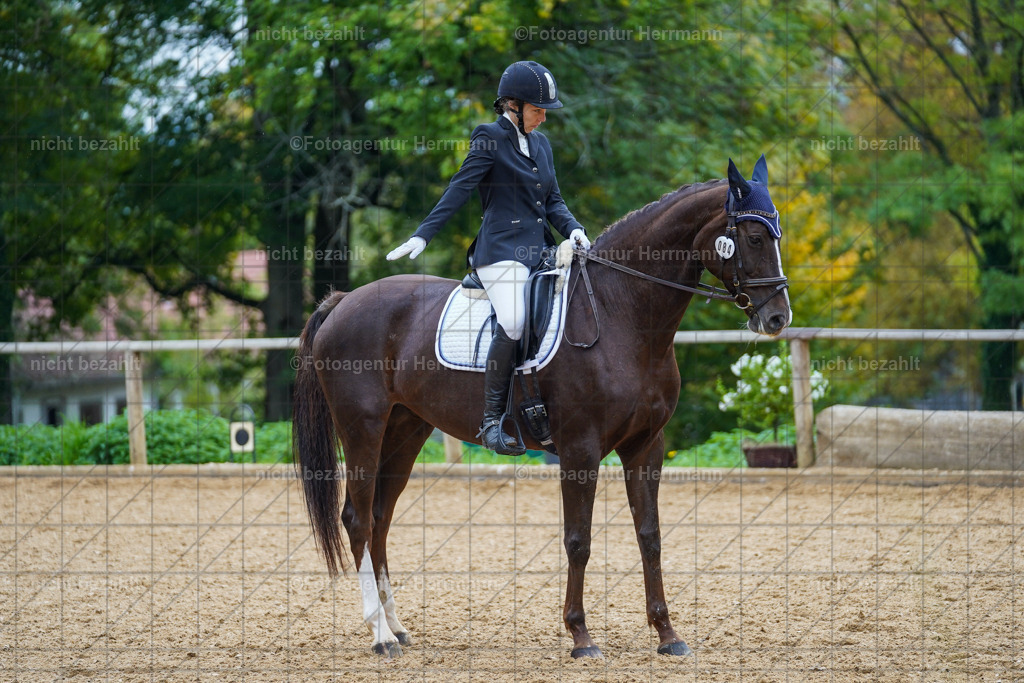 20221008-FAH01779 | Diessen am Ammersee, 2022, Dressur- und Springturnier, Reitsportbilder, Turnierfotografen Bayern, Pferdefotografen, Fotoagentur Herrmann, Turnierbilder