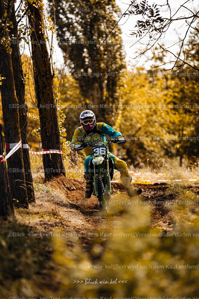 E68A2537 | blick_win_kel