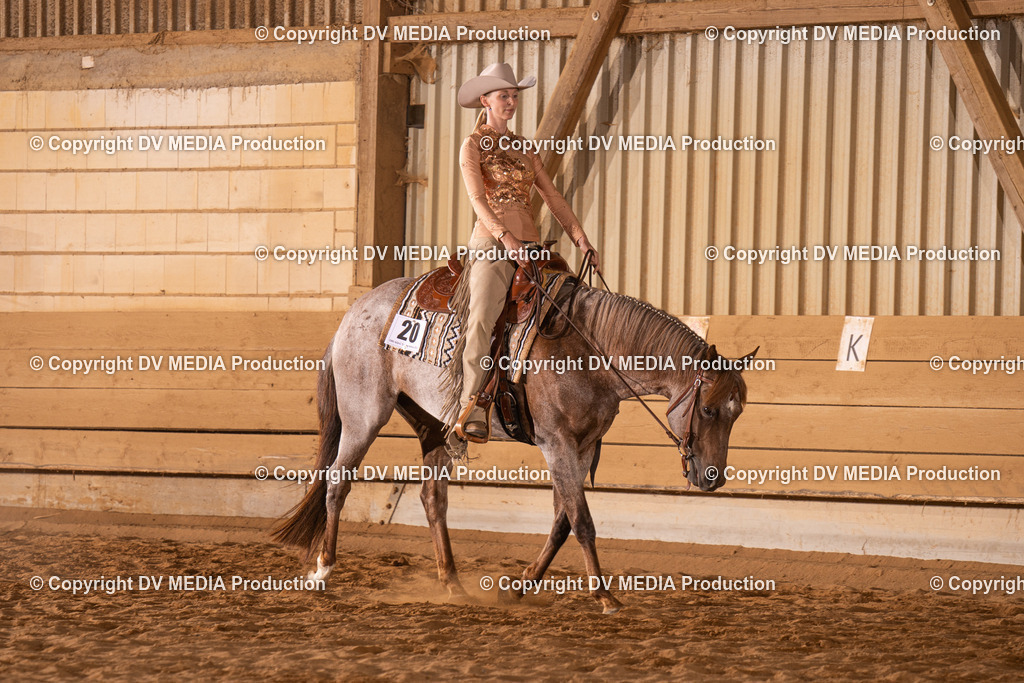 NID00833 | dv-media-shop - Realisiert mit Pictrs.com