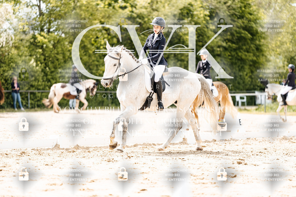 CK902091 | Turnierfotografie Pferdefotografie Trier Rheinland-Pfalz Pferdesport Reitsport Tierfotografie Sportfotografie Pferdevideo Pferdevideografie Equestrianvideography equestrianphotography  - Realisiert mit Pictrs.com