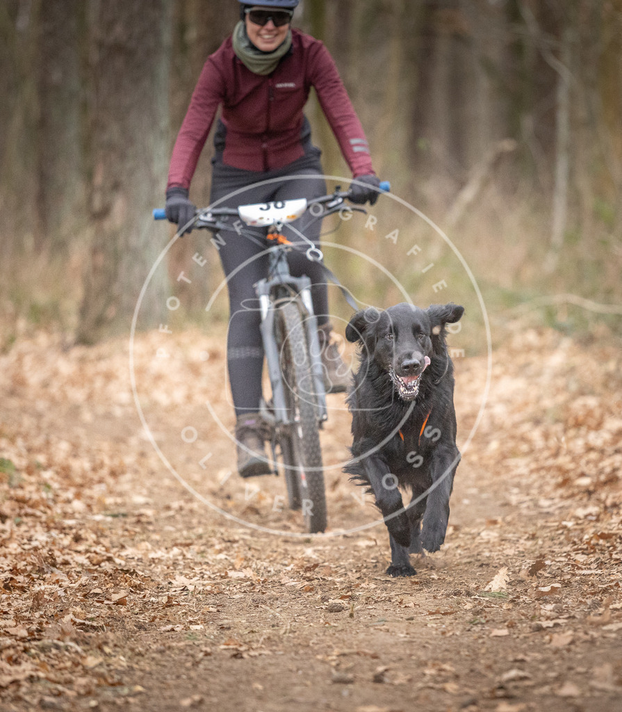Pfotenfotografie_DV3A5897 | Hundefotografie, Tierfotograf, Pfotenfotografie, Fotoshooting Hund, Hunde Portrait, Hundesport, Hundeportraits, Heideshooting, Hunde, Sportfotograf, Hundefotograf, Turnierhundsport, THS,  - Realisiert mit Pictrs.com