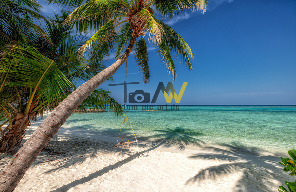 Palmen mit Schaukel am weißen Sandstrand,blaues Meer-Malediven | Ein chillige Schaukel an einer Palme an einem sonnigen einsamen  Strand auf den Malediven. Türkisblaues Meer , blauer Himmel - perfekte Urlaubserinnerungen - Realisiert mit Pictrs.com
