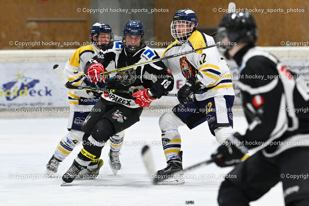 EC Tigers Paternion vs. Tarco Wölfe II | #19 Werner Maximilian Tarco Wölfe II, #12 Steiner Domenik EC Tigers Paternion, EC Tigers Paternion vs. Tarco Wölfe II, EC Tigers Paternion vs. Tarco Wölfe II am 19.12.2024 in Spittal an der Drau (Eissportzentrum Spittal), Austria, (Photo by Bernd Stefan)