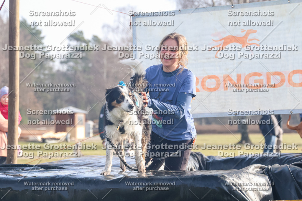 Dog Paparazzi - Strongdog North Mrz26-120 | Dog Paparazzi Jeanette Grottendiek Fotografie & Videografie - Realisiert mit Pictrs.com