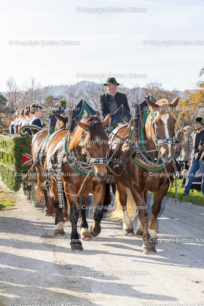 LBT24-1374 | foto-bettina-krinner - Realisiert mit Pictrs.com