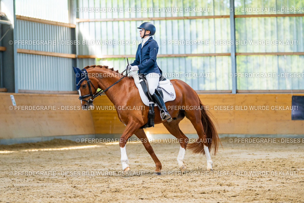 DSC06486 | Pferdegrafie