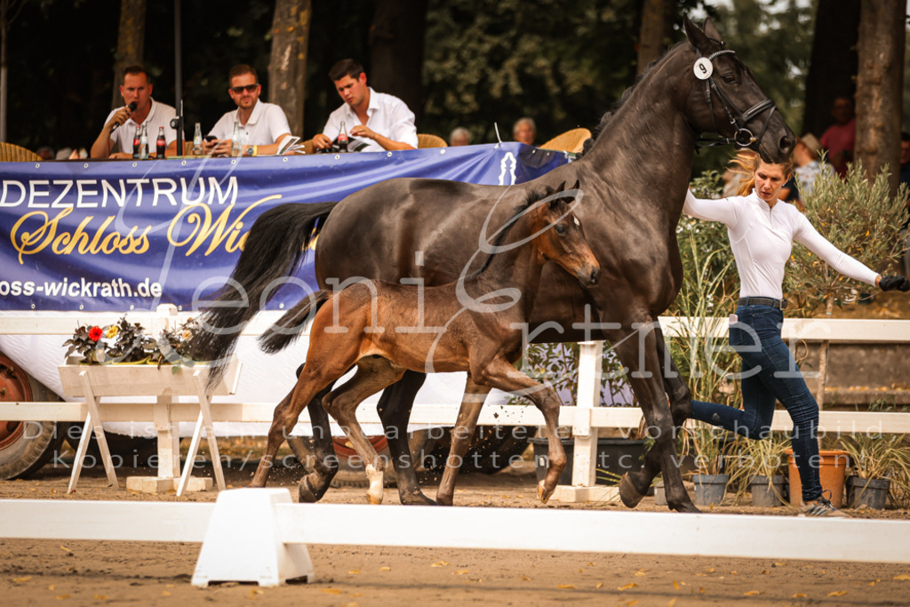 SaPA00126 | Leoni Ertmer Photography - Realisiert mit Pictrs.com