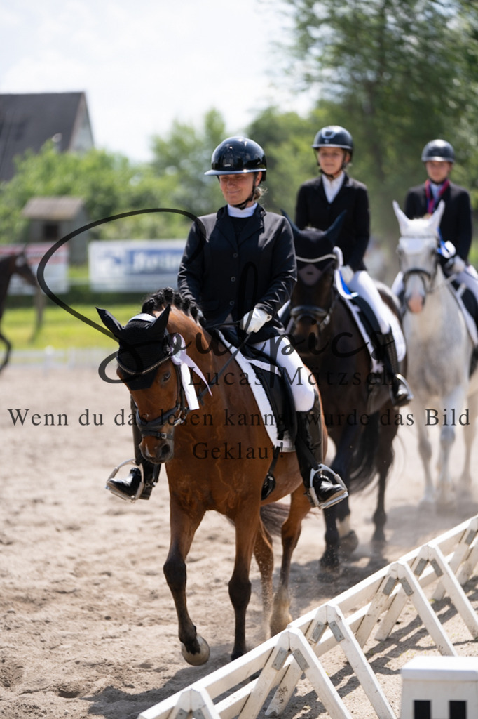 A7V02864 | Pferdefotograf