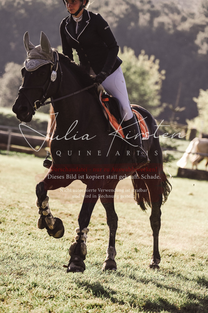 DSC_4658 | Pferde- und Turnierfotografie in Westsachsen. Pferdeportraits, Auftragszeichnungen und intuitive Kunst.