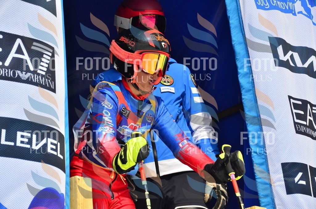 _ELE1643 | holidayphoto