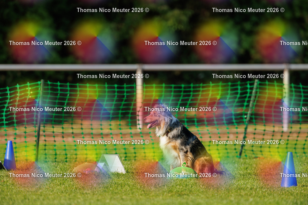 Thomas_Nico_Meuter(C)_04. Oktober 2026_223A3915 | Bild von Thomas Nico Meuter - Realisiert mit Pictrs.com